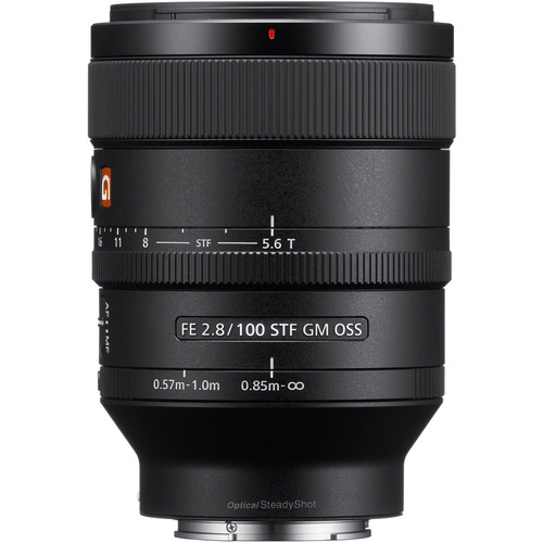 Sony SEL 100 F28GM - Click Image to Close