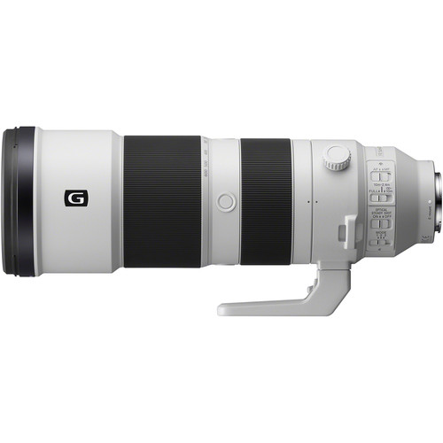 Sony SEL 200-600G Lens - Click Image to Close