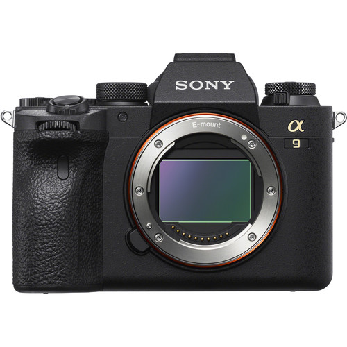 Sony ILCE-9M2 (A9 Mark 2) - Click Image to Close